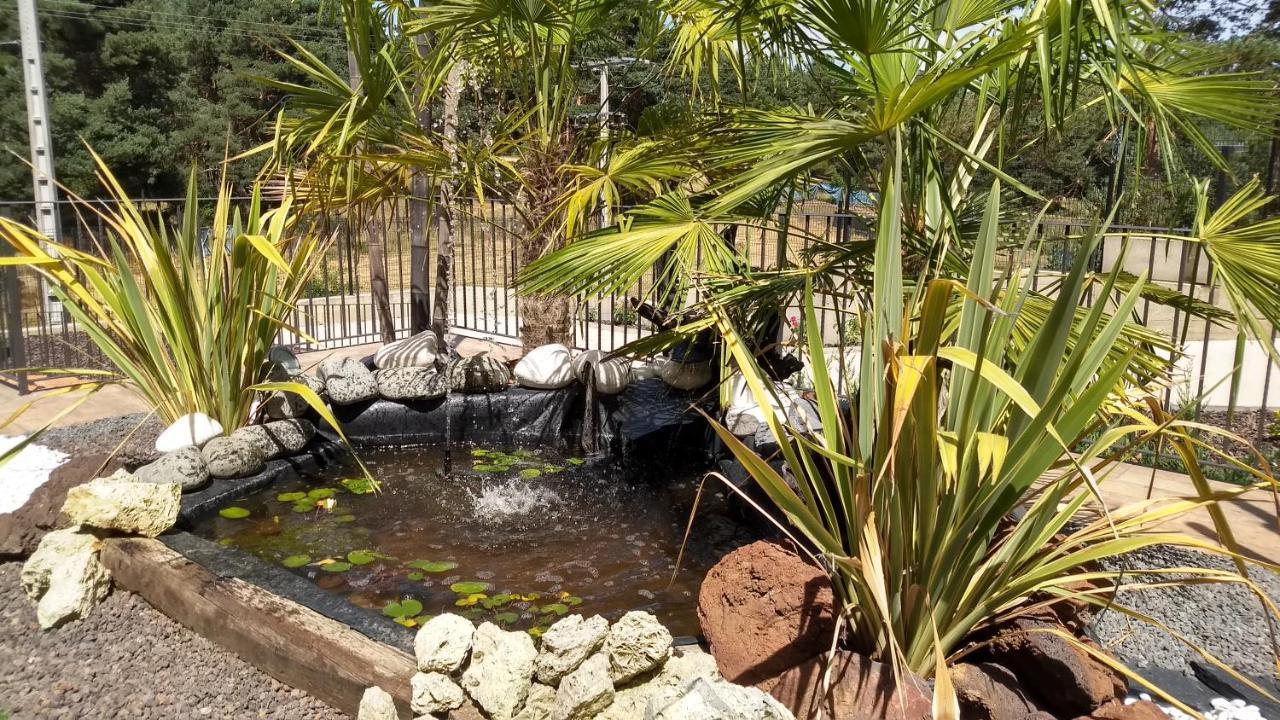 Hotel Rural El Nido De Pinares Navaleno Zewnętrze zdjęcie